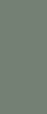 Reed Green Matt