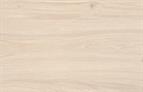 ABS Edging Tape White Casella Oak ST40 0.8 x 23mm