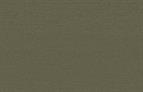 ABS Edging Tape Agave Green Grained ST17/ST19/ST40 0.8 x 23mm